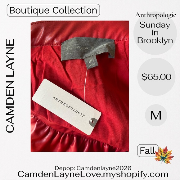 Anthropologie Scarlet Skirt - Picture 3 of 9